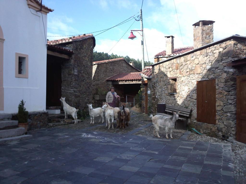 Villa Casinha do México Gondramaz Exterior foto